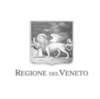 Regione Del Veneto